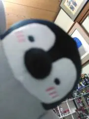 さぁやの画像