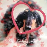 ♡ひなちゅんの涙♡