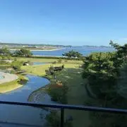 ＴＭＹＹの画像