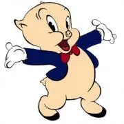 pork chop