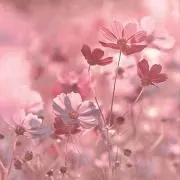 くぅぴん✧。の画像