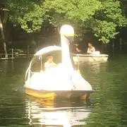 ゆかり