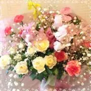 mecoの画像