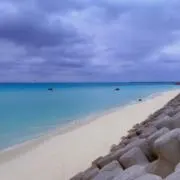 Rinの画像