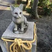 caocaoの画像