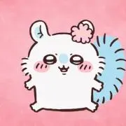 Nの画像