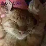ガチャピン全て送料込みです❗️
