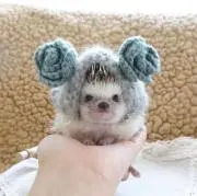 アラレちゃんの画像