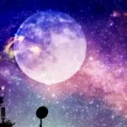 月光花☆注意喚起必読！の画像