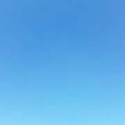 みーこ