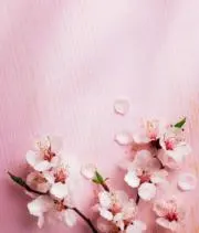 ｙ.の画像