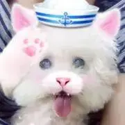ピオーネ
