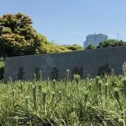 霞