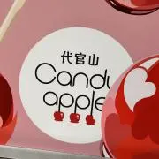 パンダの画像