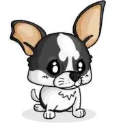 くぅ