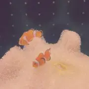 アカリ⭐即購入歓迎の画像