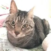♡のん♡の画像