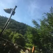 なべちゃん(まとめ購入 値引き検討)