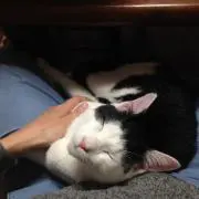 nannannaoの画像