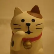のんちゃんの画像