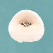 うぃむの画像