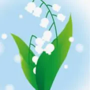 *kasumi*の画像