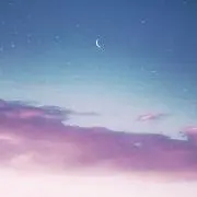 ぴよの画像