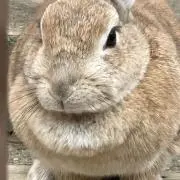 まるちゃん☆