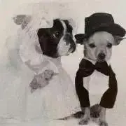 zuzuの画像