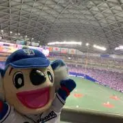 ぴのの画像