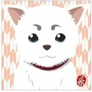マダハルの画像