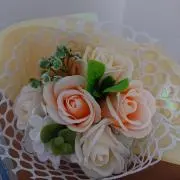 momoの画像