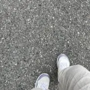 フェニックスの画像