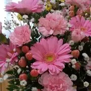 Magnoliaの画像
