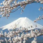 かふぇらて