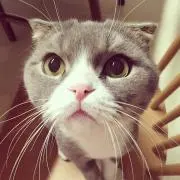 maの画像