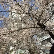 ろくの画像
