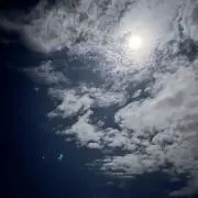 にゃすの画像