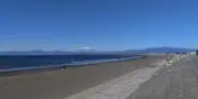 CCGの画像