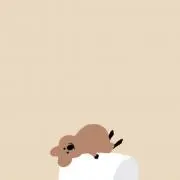 そう