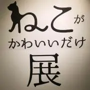 くるりの画像
