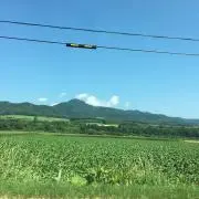 しょー