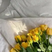 すもも