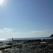 Y2の画像