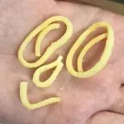 ぴーーー