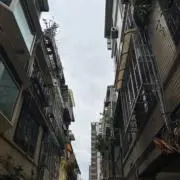 おまんじゅうの画像