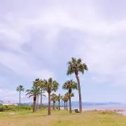 ライチュウ✩.*˚
