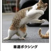 二口どっくりの画像