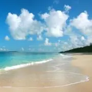 サクラサク♪