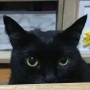あっちゃんの画像